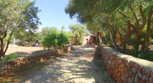 a stone wall with trees next to a street at 411 Finca Sa Costa ETV1976 by Mallorca Charme in Campos
