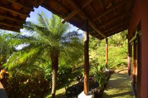 Aed väljaspool majutusasutust Villas Punta India