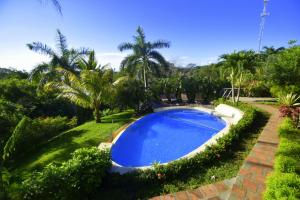 a large blue swimming pool in a yard with palm trees at Villas Punta India in Playa Ostional