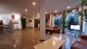 a lobby with couches and a tv in a building at Pensiunea Lucy in Sinaia