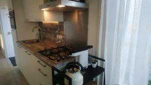cocina con fogones horno de arriba junto a un fregadero en Rekerlanden 267, en Warmenhuizen