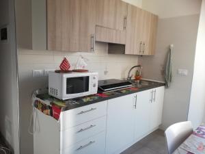 a kitchen with a microwave on top of a counter at Gorizia vacanze in Gorizia