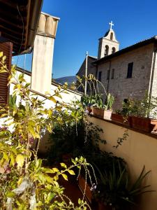 una chiesa con un campanile sullo sfondo con piante di B&B La Casa di Alice a Foligno