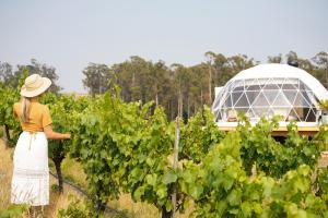 入住Domescapes in the Vines的客人