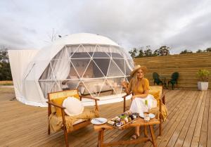 SidmouthDomescapes in the Vines的相册照片