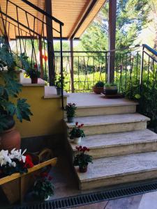Zahrada ubytování Hotel Ai Tufi