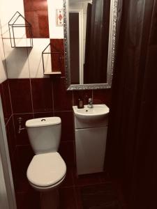 a bathroom with a toilet and a sink and a mirror at Mała Wenecja - Apartament przy "Stodole" in Nowe Worowo