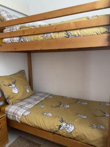 1 dormitorio con 2 literas con sábanas amarillas en Chalet Bastilor, en La Joue du Loup