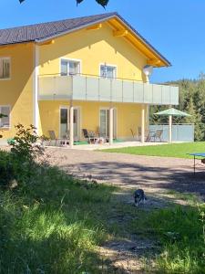 a yellow house with a cat standing in front of it at Feichtingerbauer in Fuschl am See