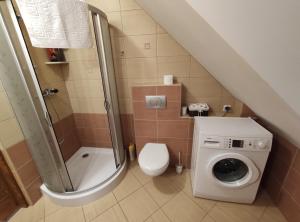 a small bathroom with a toilet and a shower at Apartament Pod Lasem in Police