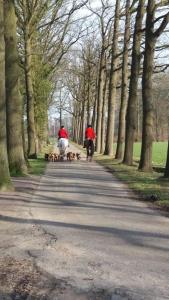 Hosté ubytování Hoeve de Laan