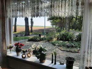 Zahrada ubytování Hoeve de Laan