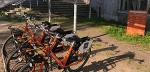 Jízda na kole v ubytování Budget Hotel Easystay nebo okolí