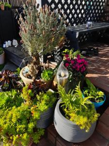 Giardino di rooms with a view