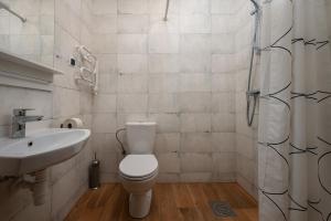 a bathroom with a toilet and a sink and a shower at Dom Żeglarza in Puck