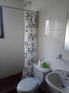 a bathroom with a toilet and a sink at Hostal El Toque de Pilar in Punta Arenas