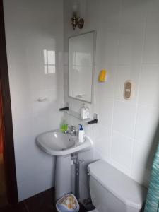 a bathroom with a sink and a toilet and a mirror at Hostal El Toque de Pilar in Punta Arenas