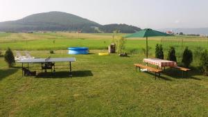 duas mesas de piquenique e um guarda-chuva num campo em Rose em Păuleni-Ciuc