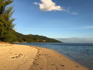 a beach with footprints in the sand and water at Residence Vainau Moorea in Haapiti