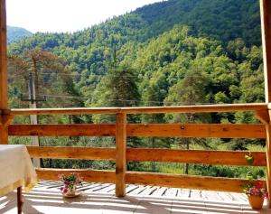 Fotografie z fotogalerie ubytování hotel alismereti v destinaci Zekari