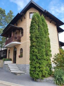 un gran arbusto verde frente a un edificio en Vila D&D en Zlatibor