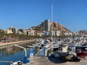 Imagen de la galería de Apartamento Luxury & Top sea view, en Alicante