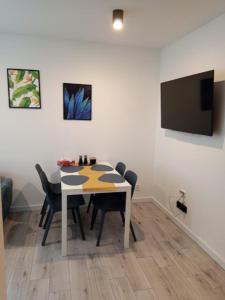 Televízia a/alebo spoločenská miestnosť v ubytovaní Apartament na Zakręcie