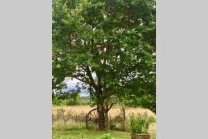 Afbeelding uit fotogalerij van maison champêtre in Saint-Aigulin +7 foto's