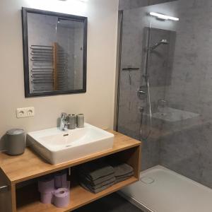 a bathroom with a sink and a shower at Ferienwohnung Schnetzer Au in Au im Bregenzerwald +21 photos