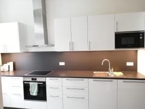 Ett kök eller pentry på Central Living Apartments - Schönbrunn