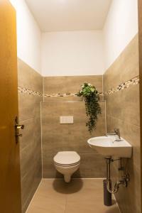 La salle de bains est pourvue de toilettes et d'un lavabo. dans l'établissement Ferienwohnung-lenne-Finnentrop, à Finnentrop