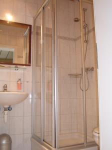 a bathroom with a shower and a sink at Gästehaus am Reiterhof Mutschler in Donzdorf
