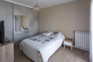 a bedroom with a large bed and a mirror at Appartement T2 proche centre ville in Istres