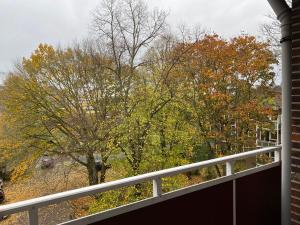 een balkon met uitzicht op een boom bij Moderne Wohnung bei Duisburg Hbf. in Duisburg