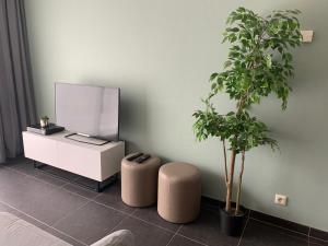 un soggiorno con TV e 2 piante di Het perfecte familieappartement voor jong en oud! a Nieuwpoort
