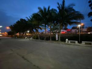 an empty street with palm trees at night at P Bliss hotel in Phayao