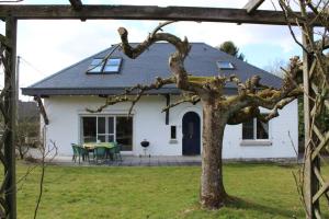ein weißes Haus mit einem Baum im Hof in der Unterkunft Villa Vintage in Durbuy