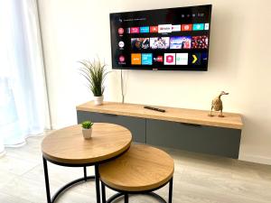 Televízia a/alebo spoločenská miestnosť v ubytovaní Apartment Malá Praha