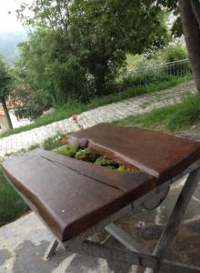 A garden outside La Cabaña de Bernardina