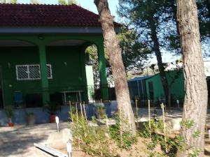una casa verde con árboles delante de ella en B&B Villa VITTORIO en Nardò