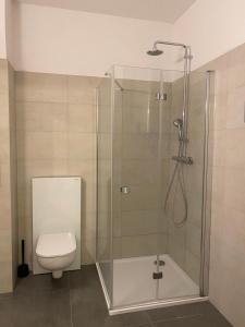 a bathroom with a glass shower with a toilet at Apartman Jelen in Deštné v Orlických horách +46 photos