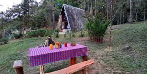 恩蓋海羅帕索斯的住宿－Refúgio nas Montanhas，一张桌子上放着粉红色和蓝色的桌布
