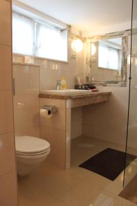 ein Badezimmer mit einem WC, einem Waschbecken und einem Spiegel in der Unterkunft Pile Apartments 7 in Omiš