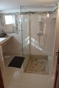 eine Dusche mit Glastür im Bad in der Unterkunft Pile Apartments 7 in Omiš