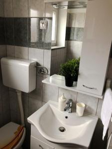 a bathroom with a sink and a toilet and a mirror at Apartman Lana in Gospić