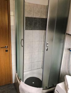 W łazience znajduje się prysznic ze szklanymi drzwiami. w obiekcie Apartman Lana w mieście Gospić