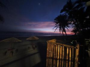 Bungalows La Perla Playa Azul في بلايا أزول: اطلالة على شاطئ بالليل مع نخلة
