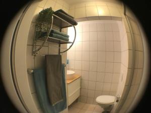 a bathroom with a toilet and a sink and a mirror at Ferienapartment Helling in Bad Sobernheim