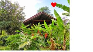 Zahrada ubytování Pencave Homestay