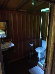 y baño con aseo, lavabo y espejo. en Casa da Floresta, en Guarda do Embaú